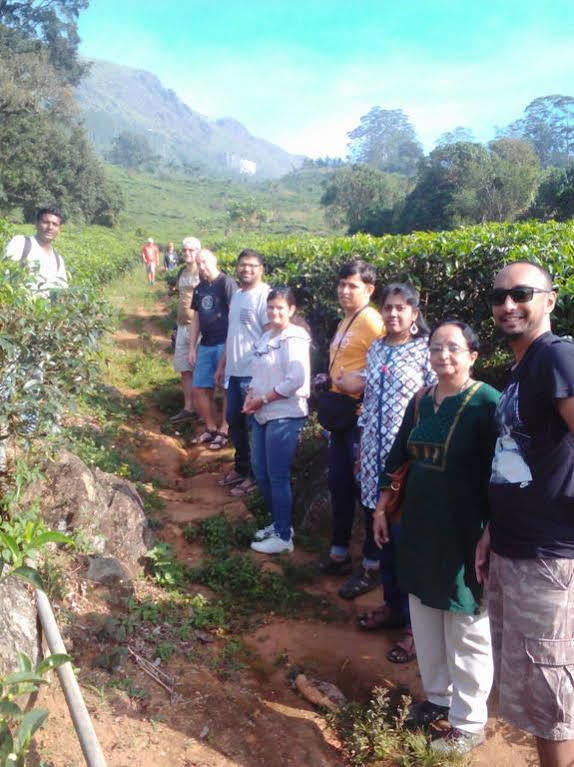 Bed and Breakfast Gruenberg Tea Plantation Haus Munnar Esterno foto