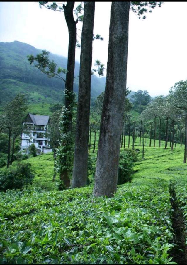 Bed and Breakfast Gruenberg Tea Plantation Haus Munnar Esterno foto