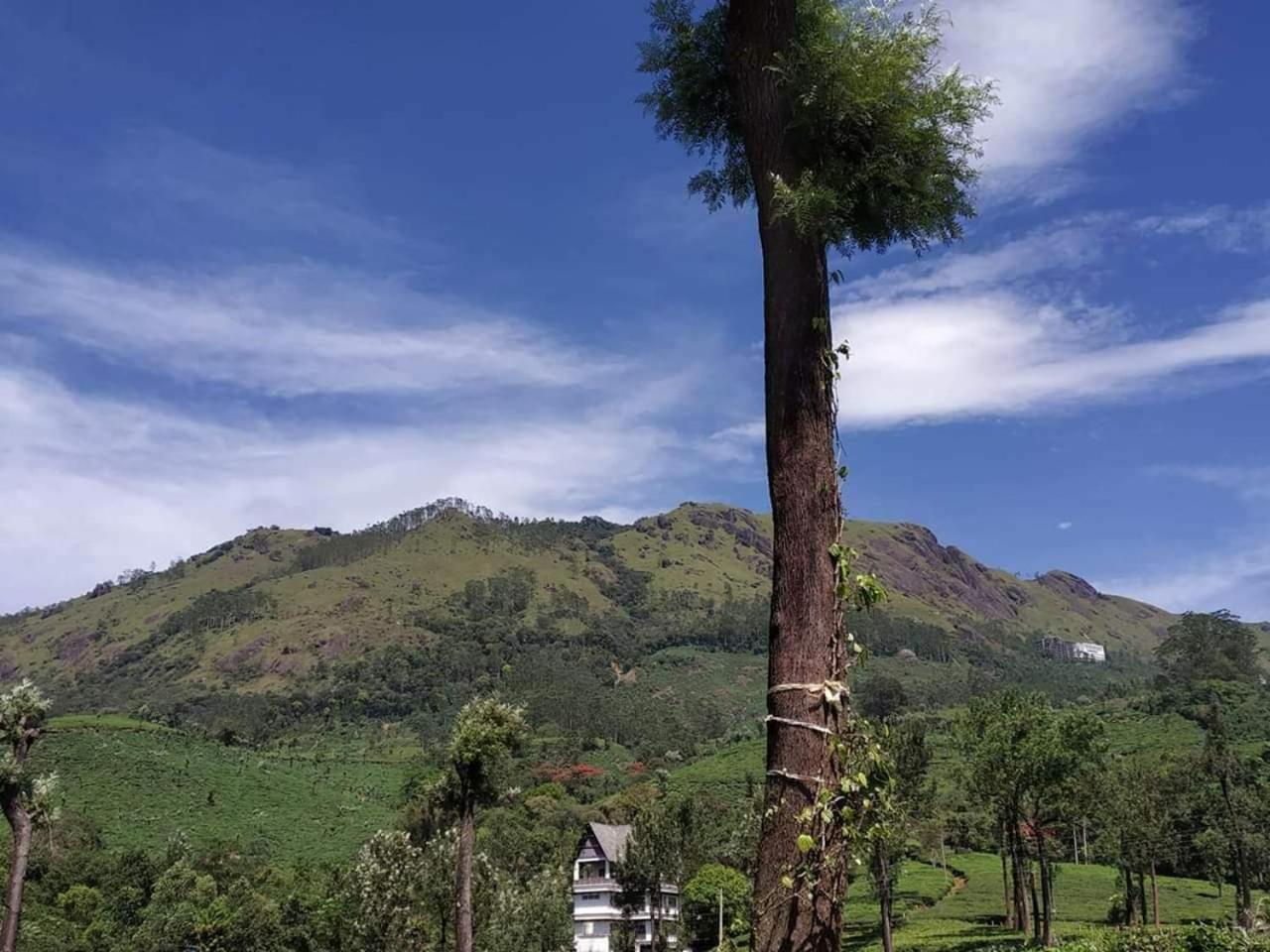 Bed and Breakfast Gruenberg Tea Plantation Haus Munnar Esterno foto